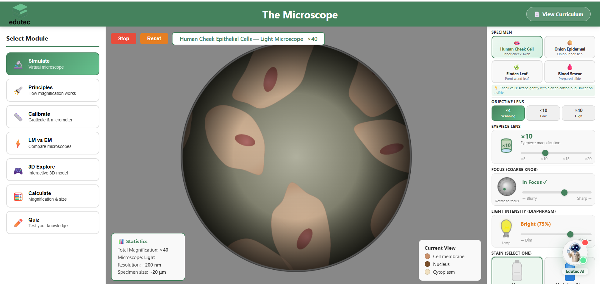 Biology Simulation